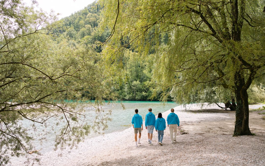 Nova spletna stran Gimnazije Tolmin