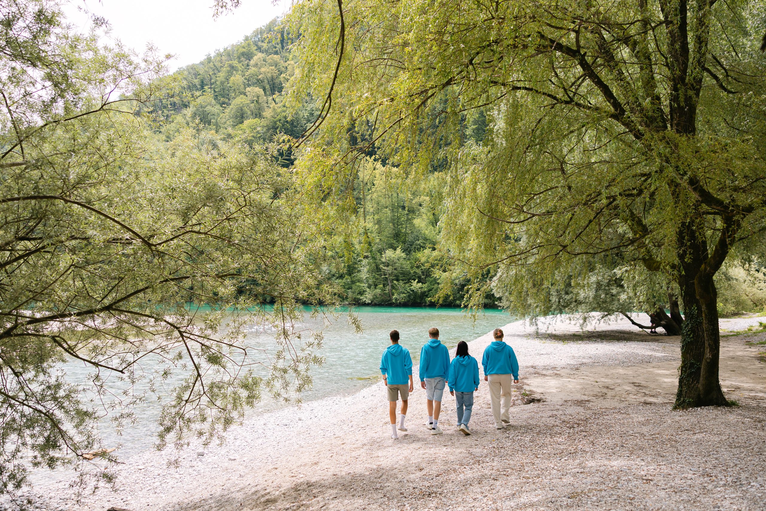 Nova spletna stran Gimnazije Tolmin